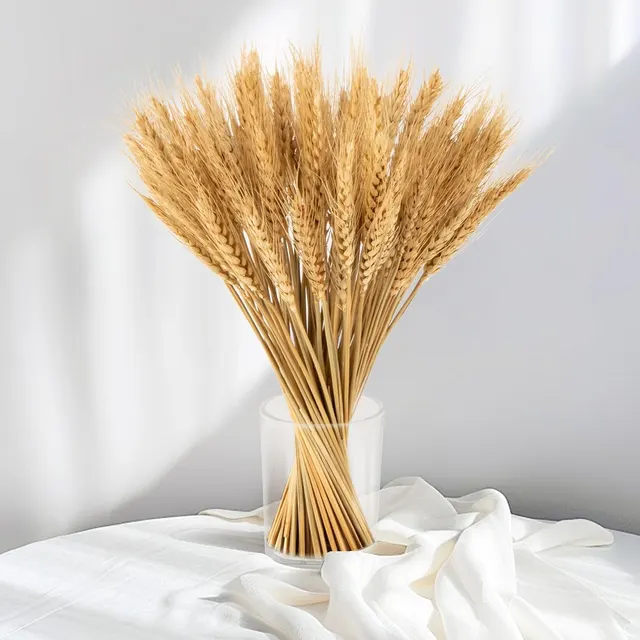 Dried Wheat Stalks, 100 Stems, Natural Golden