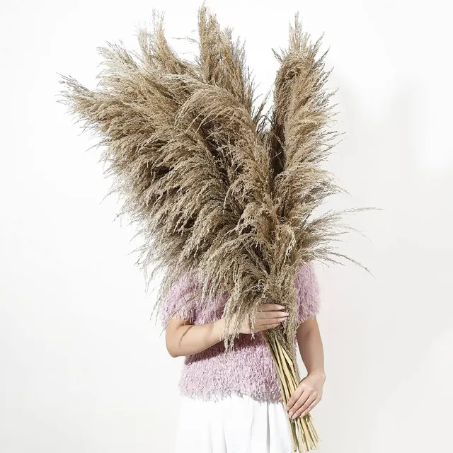 Dried Pampas Grass Decor, 9 Stems, 48in Tall